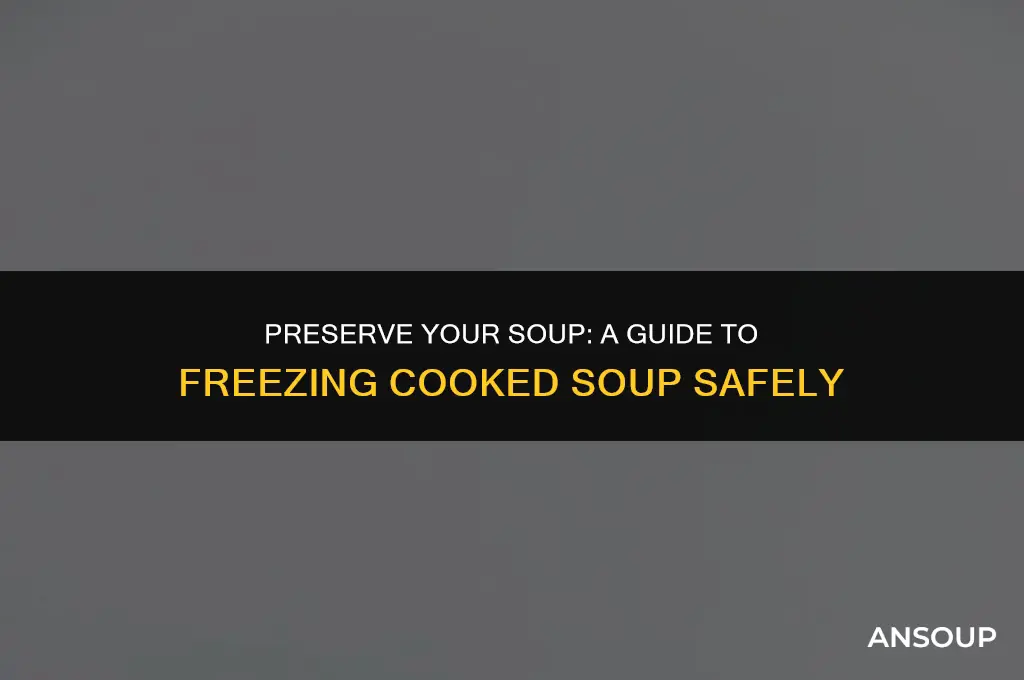 Freeze Soup Safely: Keep Flavor for Up to Three Months